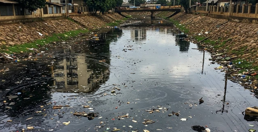 The Cost of Kenya’s Environmental Failures